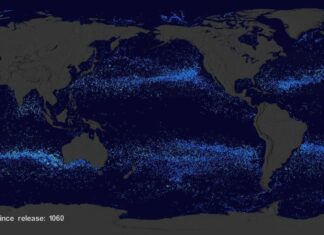 SVS: Garbage Patch Visualization Experiment SVS: Garbage Patch Visualization Experiment