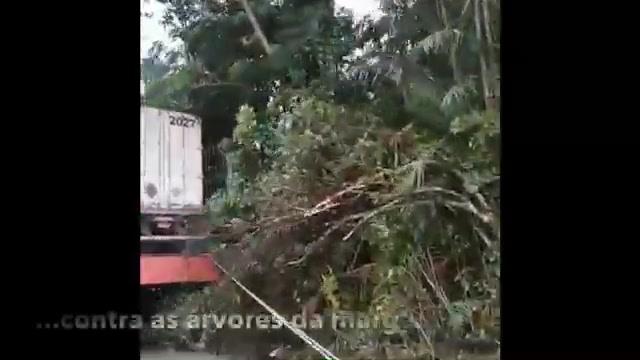 Temporal No Rio Amazonas Deixou Prejuízos 1