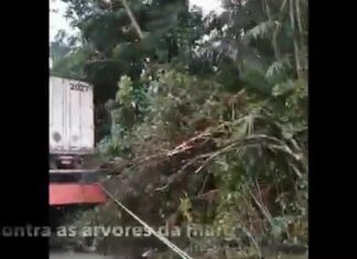 Temporal no Rio Amazonas deixou prejuízos