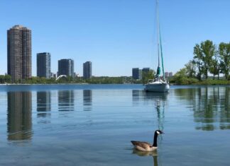 Toronto vista pelo Cmte Fernando de Miranda Lisboa Jr
