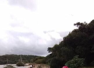 VDS apoiou a limpeza da praia do Arado Velho do movimento Jogue Limpo com as pra… VDS apoiou a limpeza da praia do Arado Velho do movimento Jogue Limpo com as pra...