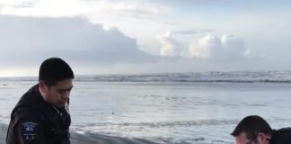  a Seal rescued at Ocean Shores