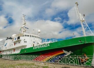 Como FUNCIONA um NAVIO do Greenpeace #Boravê com Mari Fulfaro ?Manual do Mundo