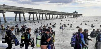 Mergulhadores retiram 1,5 tonelada de lixo do mar e quebram recorde
