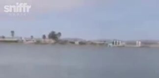  a Otter Gets On Kayak