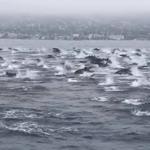 A #Stoptrashingwaves A #Stoptrashingwaves 1