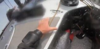  a Испытания AC75