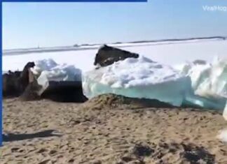 Tsunami de gelo na Russia
(e no estado de Nova York também – veja no comentario… Tsunami de gelo na Russia
(e no estado de Nova York também - veja no comentario...