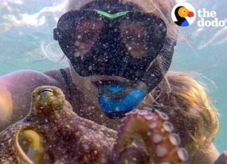 a This Woman And Octopus Are Best Friends a This Woman And Octopus Are Best Friends