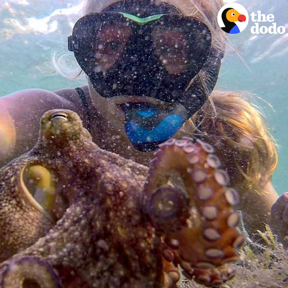 A This Woman And Octopus Are Best Friends A This Woman And Octopus Are Best Friends 1