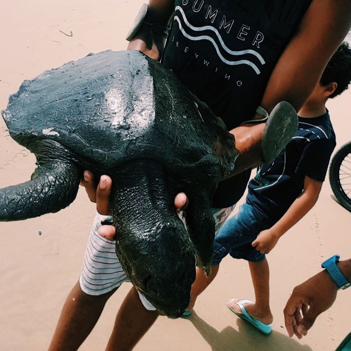 Manchas De Óleo Atingem 99 Locais No Litoral Do Nordeste E Origem É Petróleo Que Não É Do Brasil, Diz Ibama Manchas De Óleo Atingem 99 Locais No Litoral Do Nordeste E Origem É Petróleo Que Não É Do Brasil, Diz Ibama 1