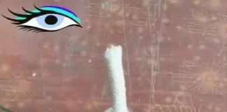  a Great Knots to try on a rainy day