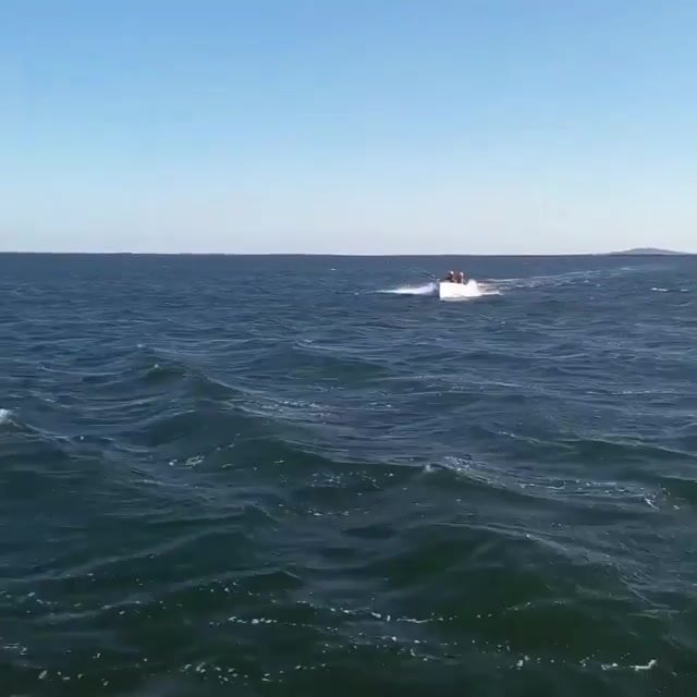 Kite Tender 1
