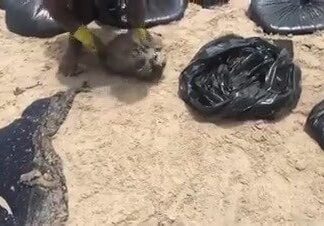 Mutirão para limpeza de praia nordestina tomada pelo óleo Mutirão para limpeza de praia nordestina tomada pelo óleo