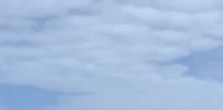 Veleiro Atrevida, quase centenário, recorde de singradura e monocasco vencedor d...