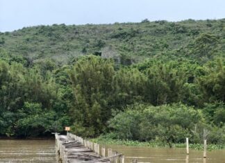 Abandono da infra-estrutura náutica no Parque Estadual de Itapuã RS ou, pior ain… Abandono da infra-estrutura náutica no Parque Estadual de Itapuã RS ou, pior ain...