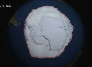 Antarctic Sea Ice Reaches New Record Maximum