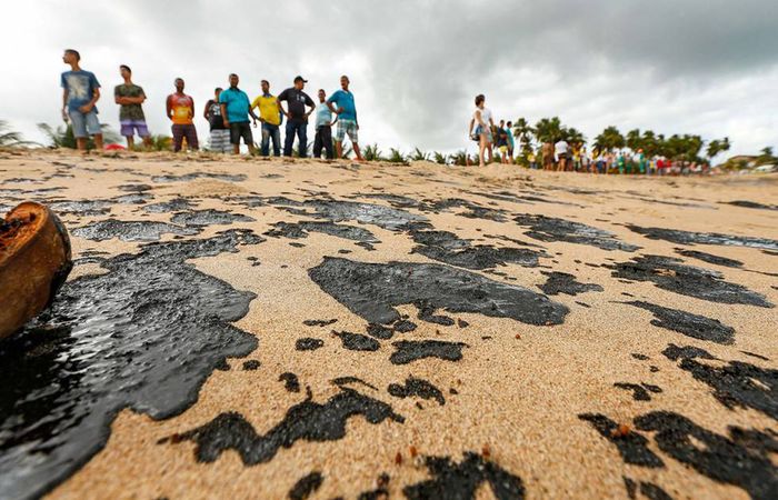 Cientistas Detectam Óleo Dois Dias Antes De Passagem De Navio Grego Cientistas Detectam Óleo Dois Dias Antes De Passagem De Navio Grego 1