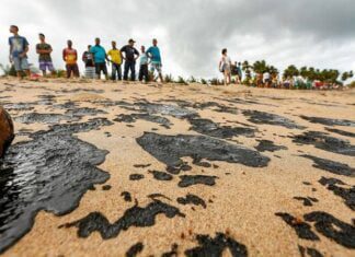 Cientistas detectam óleo dois dias antes de passagem de navio grego