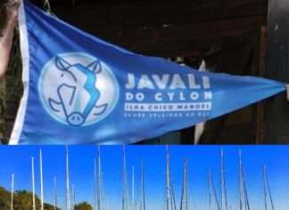 Javali do Cylon
Neste final de semana os associados do Veleiros do Sul vão sabo… Javali do Cylon
Neste final de semana os associados do Veleiros do Sul vão sabo...