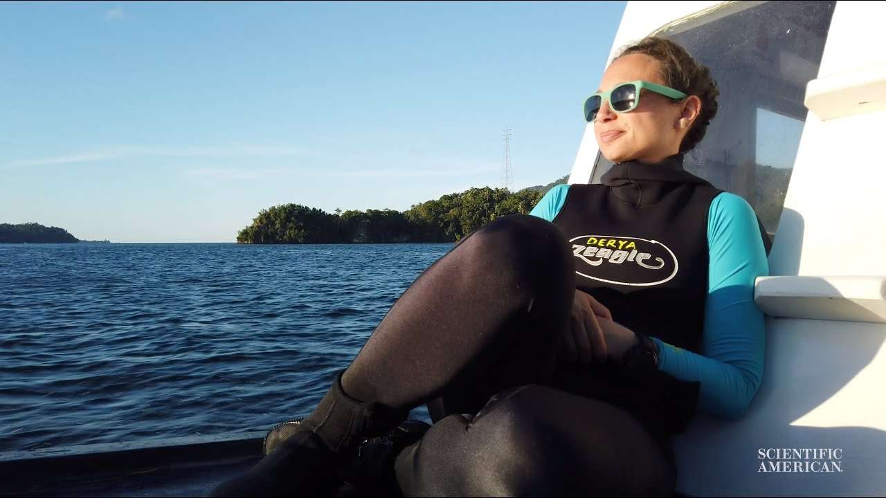 This Researcher Created An Algorithm That Removes The Water From Underwater Images This Researcher Created An Algorithm That Removes The Water From Underwater Images 1