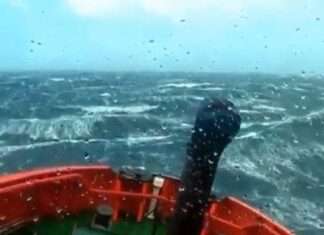  a This is Life at Sea