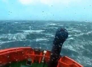  a Life At Sea