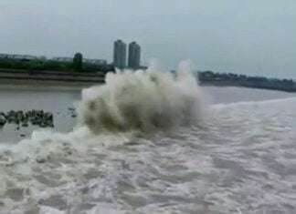 a That’s How a Tsunami Struck ! a That's How a Tsunami Struck !