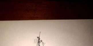 Genoa de Quarentena...