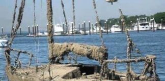 Normalmente isso acontece em consequência de inventário muito demorado, ordem ju...