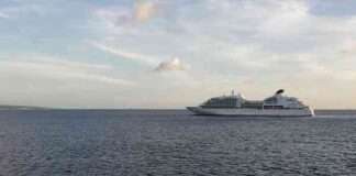 Coronavírus: Brasileiros relatam drama em alto mar: ''o pensamento recorrente é pular desse navio''