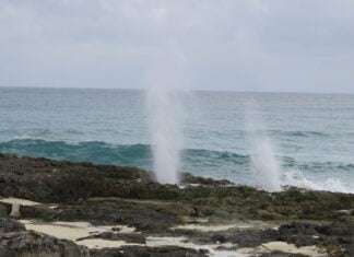 Isla Cozumel ! Paraíso para mergulhadores Isla Cozumel ! Paraíso para mergulhadores