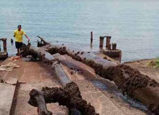VDS realiza limpeza no Guaíba. Saiba maisO Clube removeu 4 árvores que estavam… VDS realiza limpeza no Guaíba. Saiba mais
O Clube removeu 4 árvores que estavam...