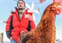 Histórias do Mar - Morreu Monique, a galinha velejadora que mais viajou pelo mundo