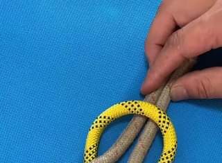 Sempre aparece um nozinho diferente
 

Five knots that are useful in our daily l...