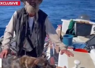Velejador e cadela são encontrados após 2 meses à deriva no Pacífico