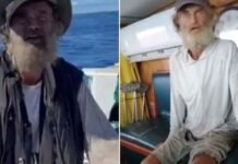Agua de lluvia y pescado crudo durante tres meses a la deriva: un buque mexicano rescata a un australiano y a su perra en el Pacífico