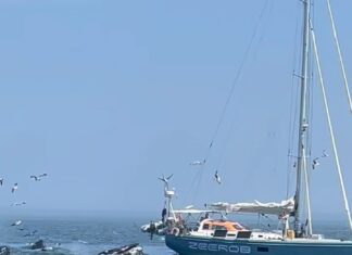 Close Encounter with Whales one mile east of Chatham 8/2/24 11am Cape Cod, Massachusetts Close Encounter with Whales one mile east of Chatham 8/2/24 11am Cape Cod, Massachusetts