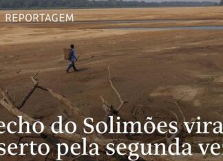 Reportagem da Folha reencontra pescador que caminhou por trecho seco do Solimões Reportagem da Folha reencontra pescador que caminhou por trecho seco do Solimões