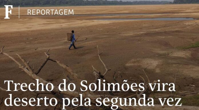 Reportagem da Folha reencontra pescador que caminhou por trecho seco do Solimões Reportagem da Folha reencontra pescador que caminhou por trecho seco do Solimões