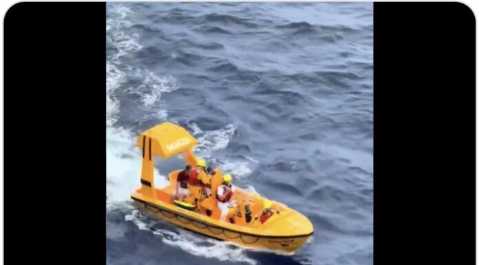 Menina de 4 anos cai de cruzeiro, pai salta em seguida e são resgatados por bote...