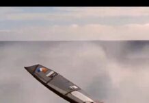 Quem inventou o windsurf?


