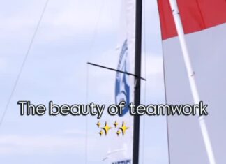 A beleza do trabalho em equipe


