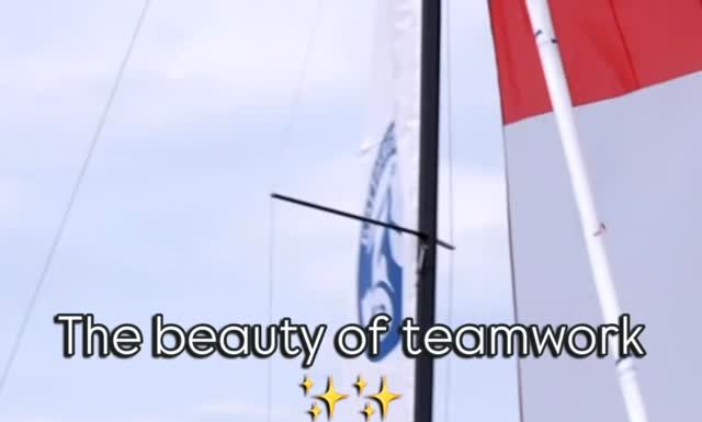 A beleza do trabalho em equipe A beleza do trabalho em equipe