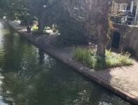 Timoneando um realejo
Sensacional! Timoneando um realejo
Sensacional!