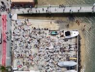 Campeonato Brasileiro de Optimist
Itaparica BA 2026
(saída no primeiro dia)


