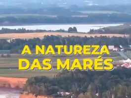 ud83cudf0aud83cudf14 Quando fores u00e0 praia vais lembrar-te disto u2757...