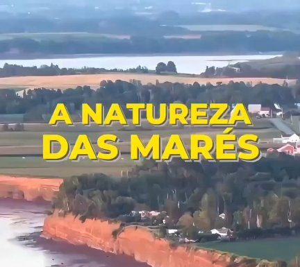 ud83cudf0aud83cudf14 Quando fores u00e0 praia vais lembrar-te disto u2757...