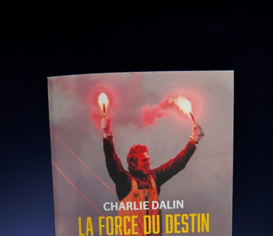 Difficile de ru00e9sumer en quelques mots un livre que ju2019ai du00e9voru00...